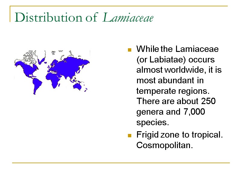 Distribution of Lamiaceae While the Lamiaceae (or Labiatae) occurs almost worldwide, it is most